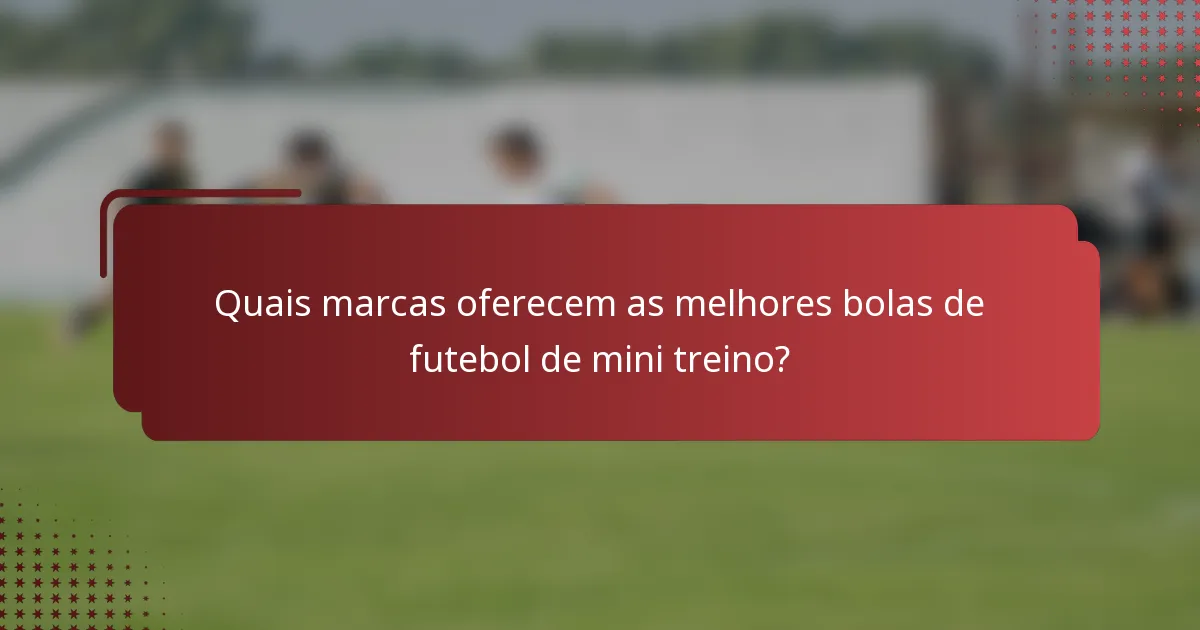 Quais marcas oferecem as melhores bolas de futebol de mini treino?